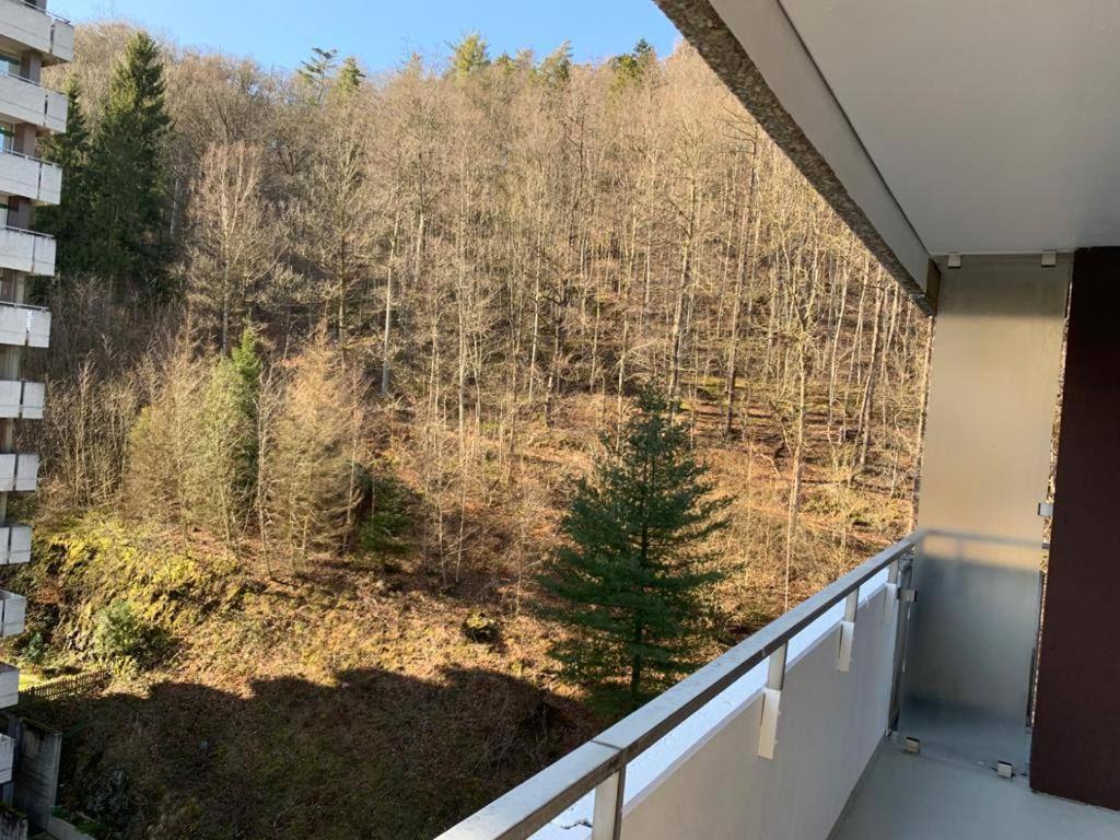 Mariposa 3 Incl Pool & Sauna Bad Harzburg Exterior photo
